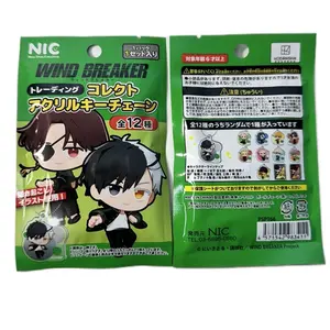 Windbreaker Collector Acrylic Keychain (Blind Pack) One Pack