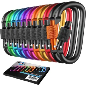 10 Pack  D Ring Key Rings Clips Locking Carabiner for Camping Fishing and Outdoor Use,Clips with Screw Gate Multicolored