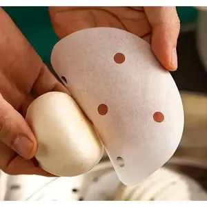 100pcs Food Grade Steamer Mat Paper, Round Cage Paper, Silicone Oil Paper, Steamed Bun Paper, Baking Paper, Disposable Steamer Paper, For Home Kitchen Restaurant Hotel, Kitchen Supplies