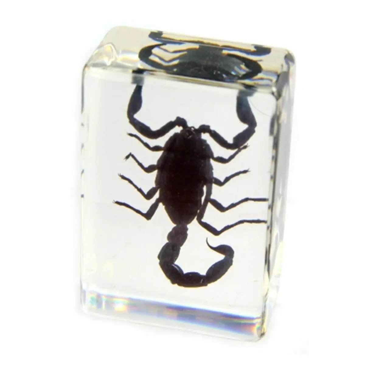 ED SPELDY EAST PW113 Ultra Compact Black Scorpion Motif Acrylic Base Paperweight - Desk Decor Statue Figure, Home Decor Ornament