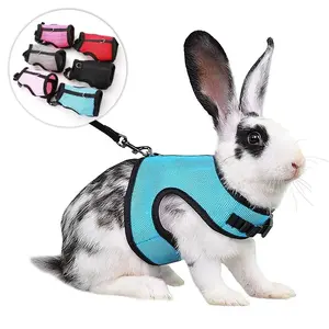 BunnyHop Adventure Set 🐇 Ventilated Mesh Harness & Bungee Leash! Adjustable Rabbit Vest with Escape-Proof Lock – Soft Pet Carrier Sling for Dwarf/Adult Rabbits 🌈 + Free Travel Pouch