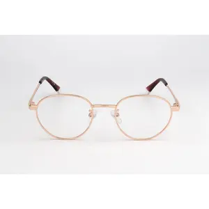 Polaroid PLDD522_G Eyeglasses