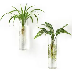 Propagation Station Wall Planter Hanging Glass Tubes Flower Vase for Hydroponics , Bathroom, Home Office Living Room Decor , Cylinder Set of 2