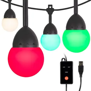 Enbrighten Bistro USB-Powered Color Changing LED Cafe Lights, 24 Bulbs, 24ft. Black Cord