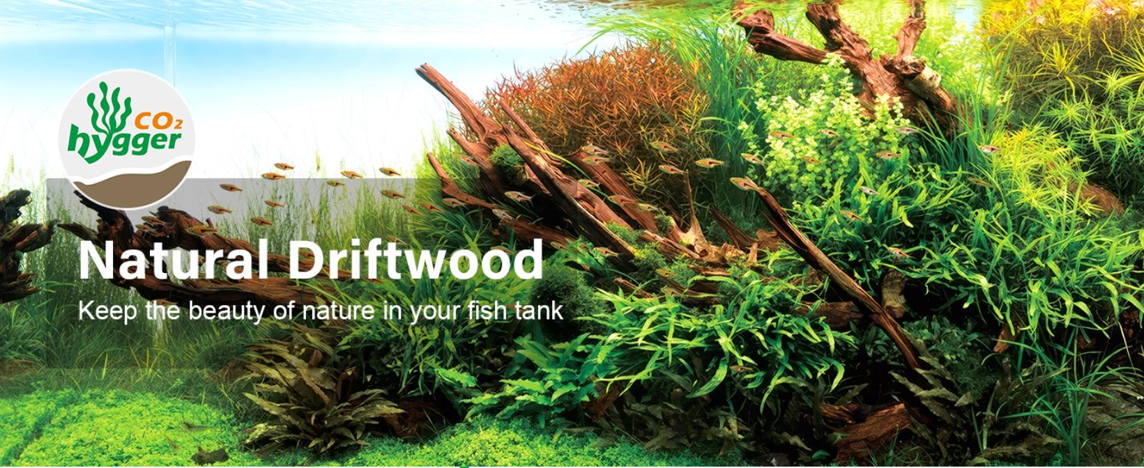 Driftwood for Aquarium Natural Aquarium Wood for Aquascaping Fish Tank Decorations Reptile Tank Decor