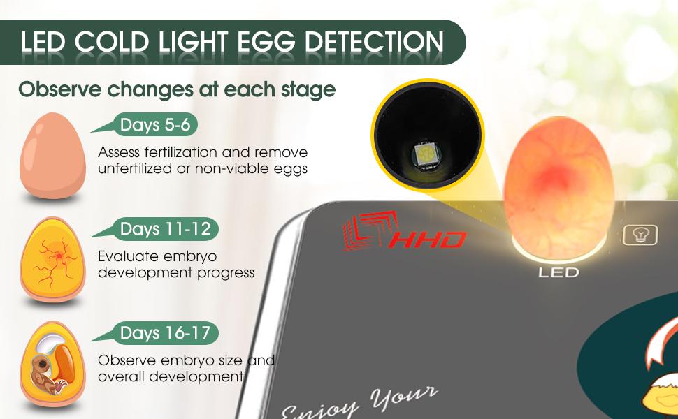 Egg Incubator for Hatching Chicks, Automatic Egg Turner Holds 12 Eggs
