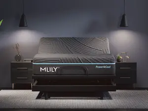 PowerCool Firm Sleep System