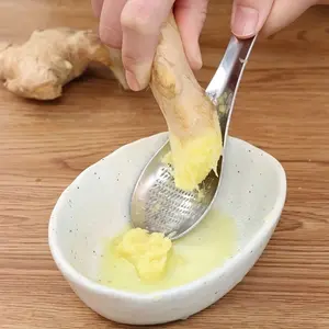 Stainless Steel Ginger Grater, Manual Garlic Press with Sharp Teeth, Durable Kitchen Tool, Essential for Making Garlic and Ginger Paste