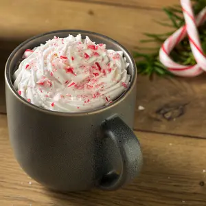 Peppermint Mocha Latte (Meek & Mild Candles #candlesthatsoothethesoul)