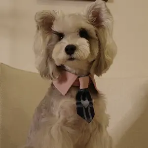 Furrever Bandana Ties