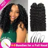 Asakiss Burmese Curly Water Wave Feather Crochet Human Hair for Miracle Knots Boho Braids Knotless Pre-Separated, 50g/Pack 40 Strands/Pack Time-Saving Crochet Hair Extensions 4-5 Packs for Full Head Lightweight Protective Styles For Summer Vacation Hair