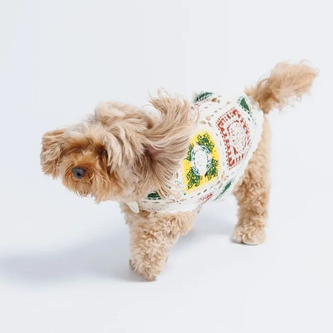Cherry Crochet Shirt by Both Tails, Made with 100% Cotton for Your Dogs Comfort