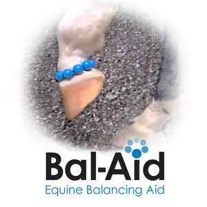 Bal-Aid Equine Balancing Aid