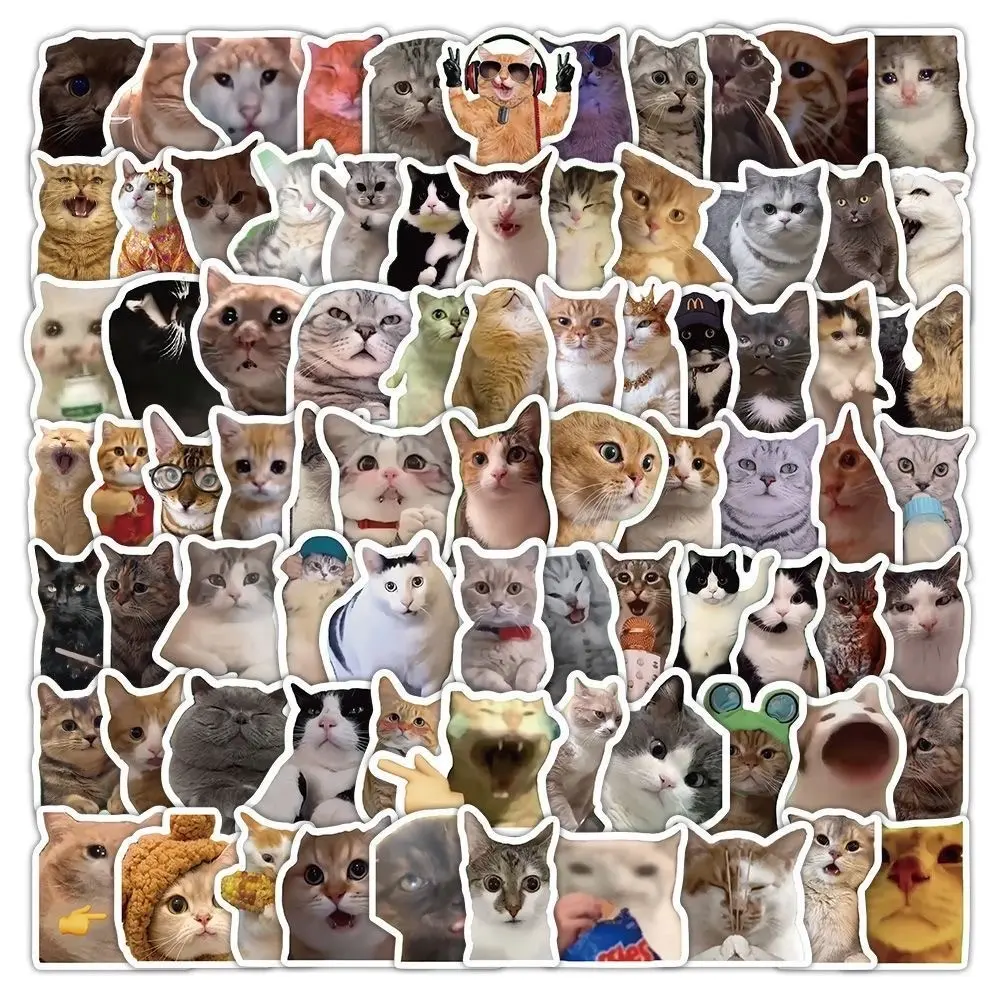100pcs Funny Cat Meme Stickers, Waterproof Cute Aesthetic Cat Sticker Pack for Laptop, Water Bottle, Phone & Devices, Fun and Adorable Designs