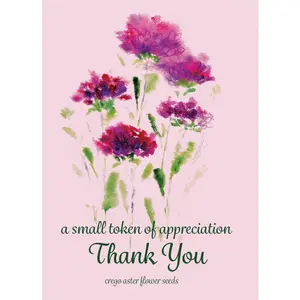 A Small Token Thanks - Aster Seed Packets