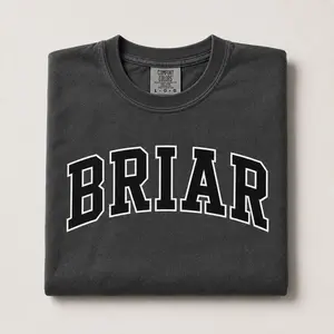 Briar University T-Shirt, Comfort Colors Collegiate Crewneck Tee, Preppy Varsity Shirt