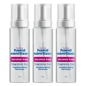 Foaming Hand Sanitizer, Alcohol Free and Fragrance Free, Kills 99.9% Germs, Moisturizing Formula, Travel Size 2.5 oz (3 Pack)