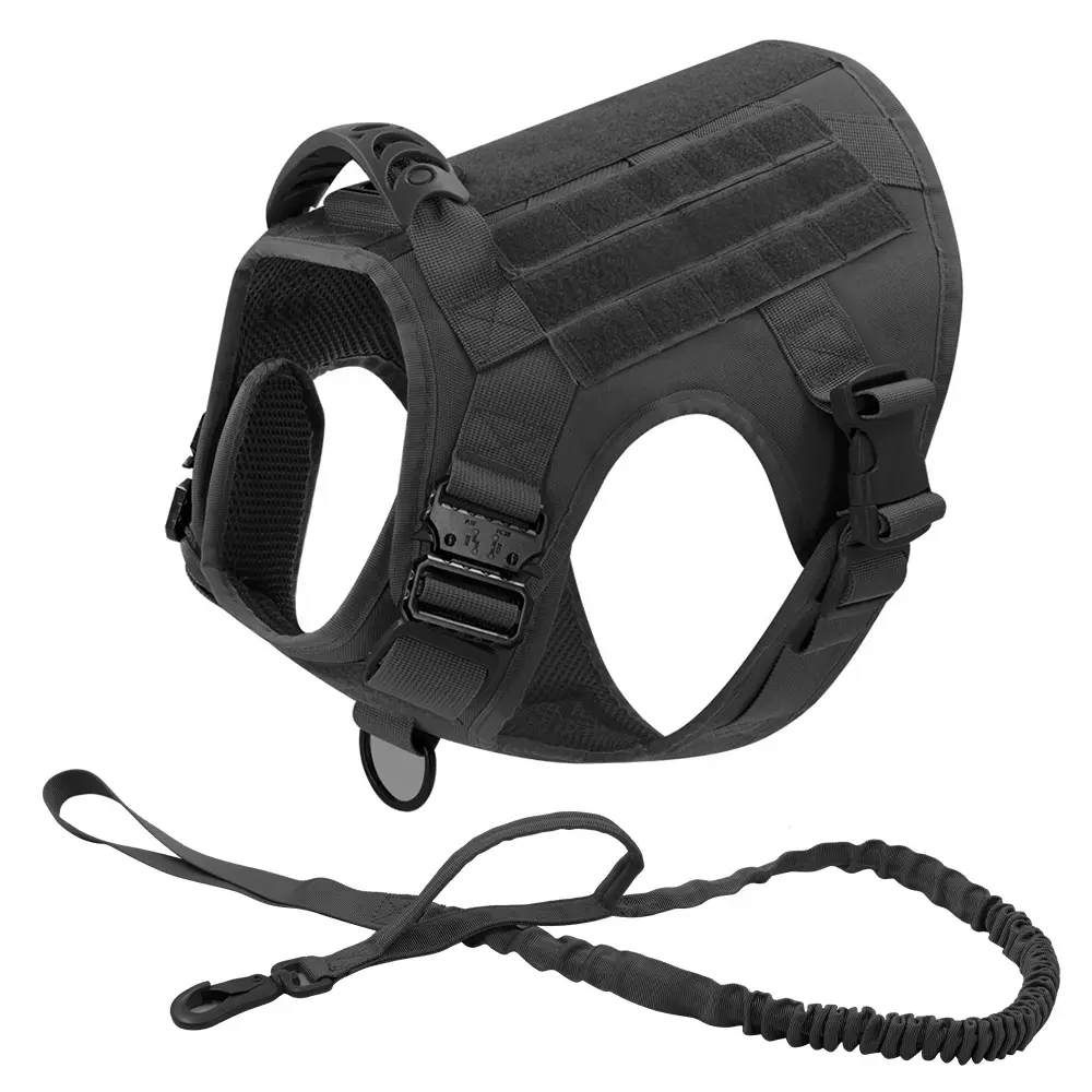 Black Harness with Leash