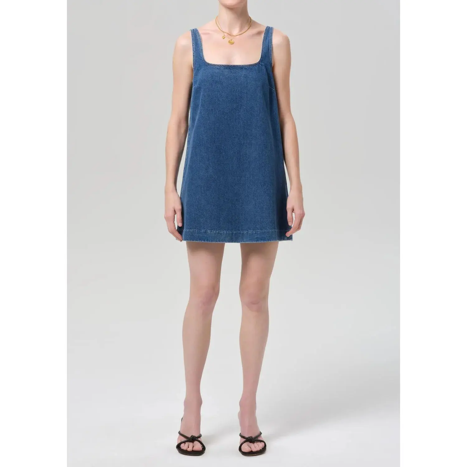 Citizen of Humanity Silvana Shift Dress in Besso
