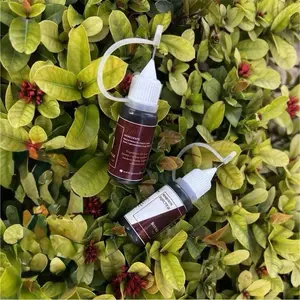 Instant Henna Injection 2 bottles in Dark Maroon 17ml Bottle Ready-to-Use Long Lasting Safe for All Ages