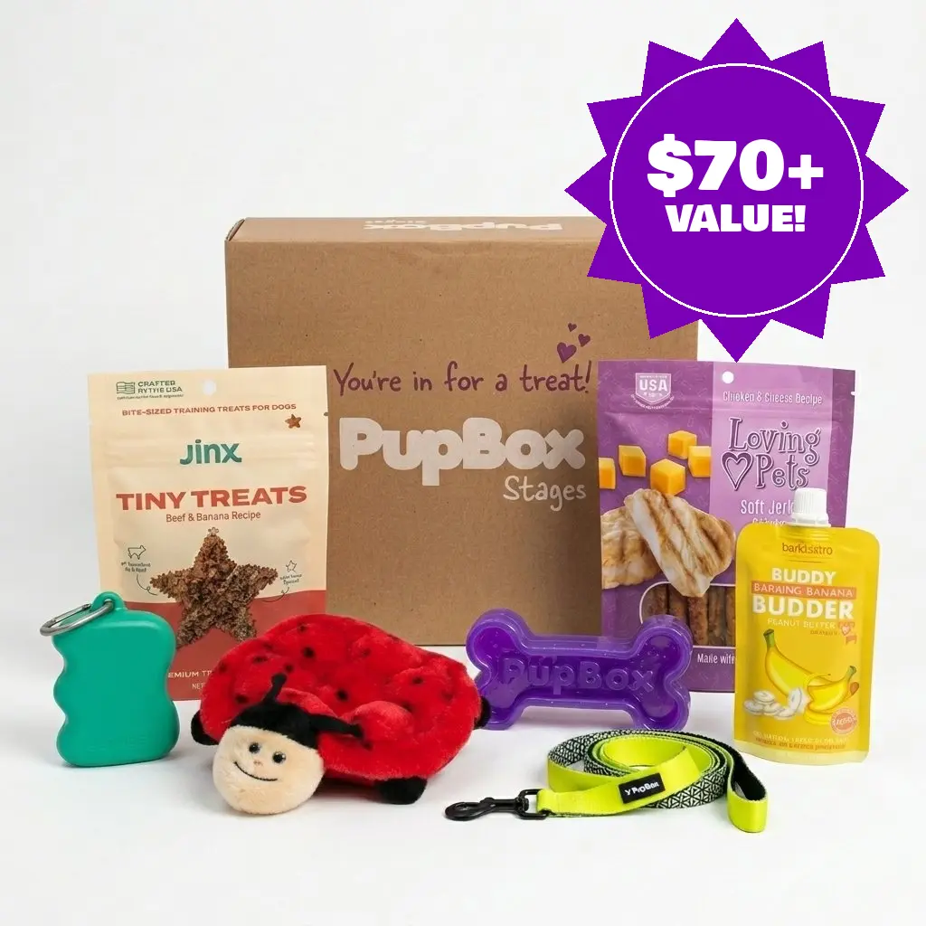 New Puppy PupBox - The Ultimate Puppy Starer Bundle | Toys, Treats + Leash