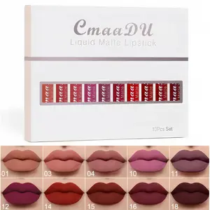 10 Pcs Matte Lipstick, Long-Lasting Lip Gloss, Suitable for Beginners, Beauty Makeup, Long-Lasting Waterproof Lip Stain, Non-Stick, Easy to Apply Cosmetics
