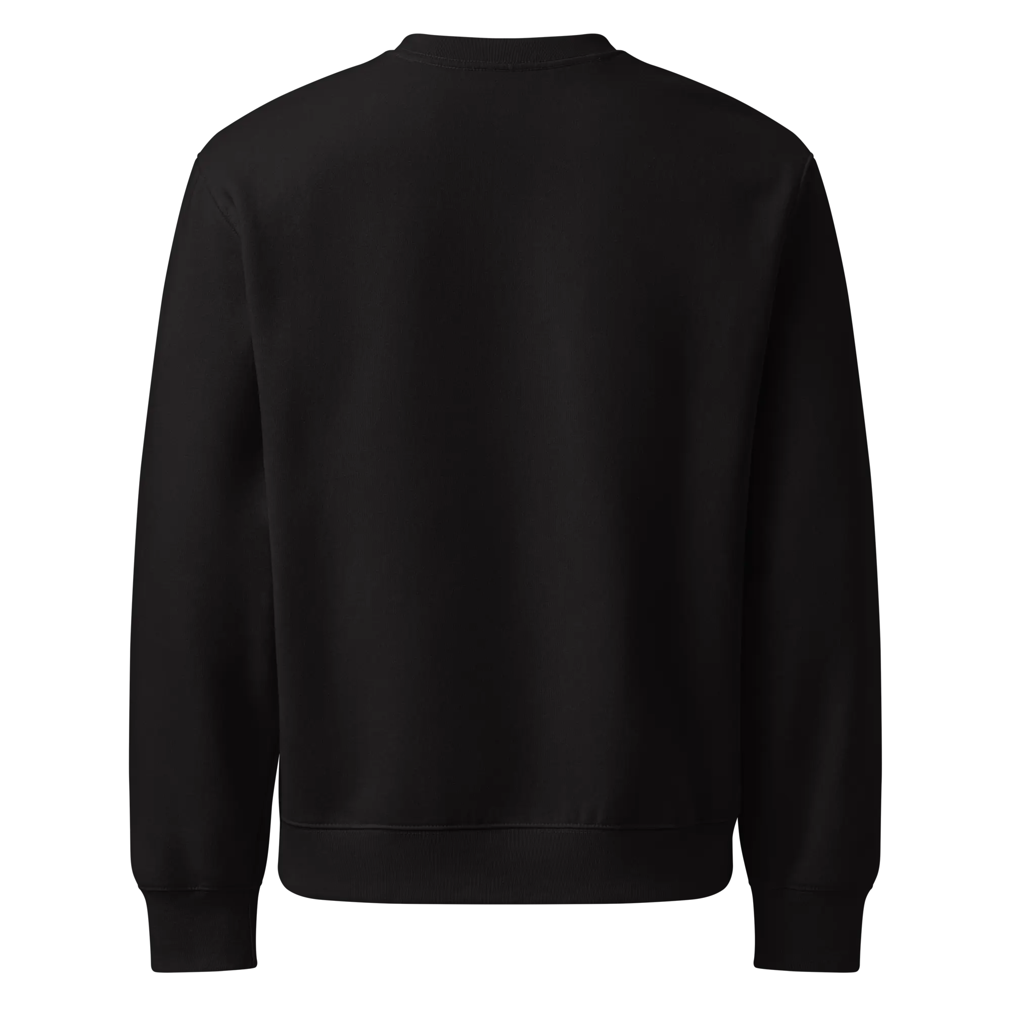 Sqdltd AW25 WL Oversized Heavyweight Sweatshirt