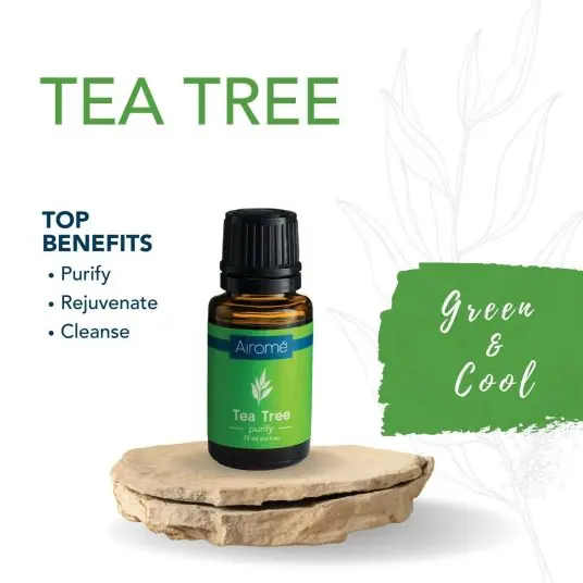 Tea Tree 