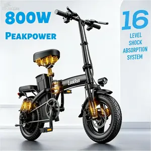 LookRun Electric Bicycle | Peak Power 800 Watts | Maximum Speed 22 Miles Per Hour | Range 60 Miles | Removable Battery LED Headlight bike