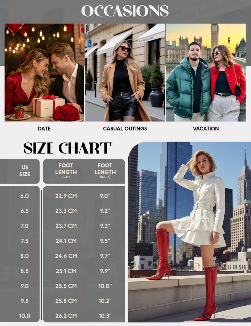 CELNEPHO Gothic Boots for Women Pointed Toe Metal Rivet Tassel Stiletto Dress Boots Kitten Heel Zipper Closure Dressy Party Date Valentine Gift Wedding Fashion Booties