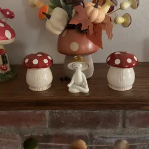 review image 5