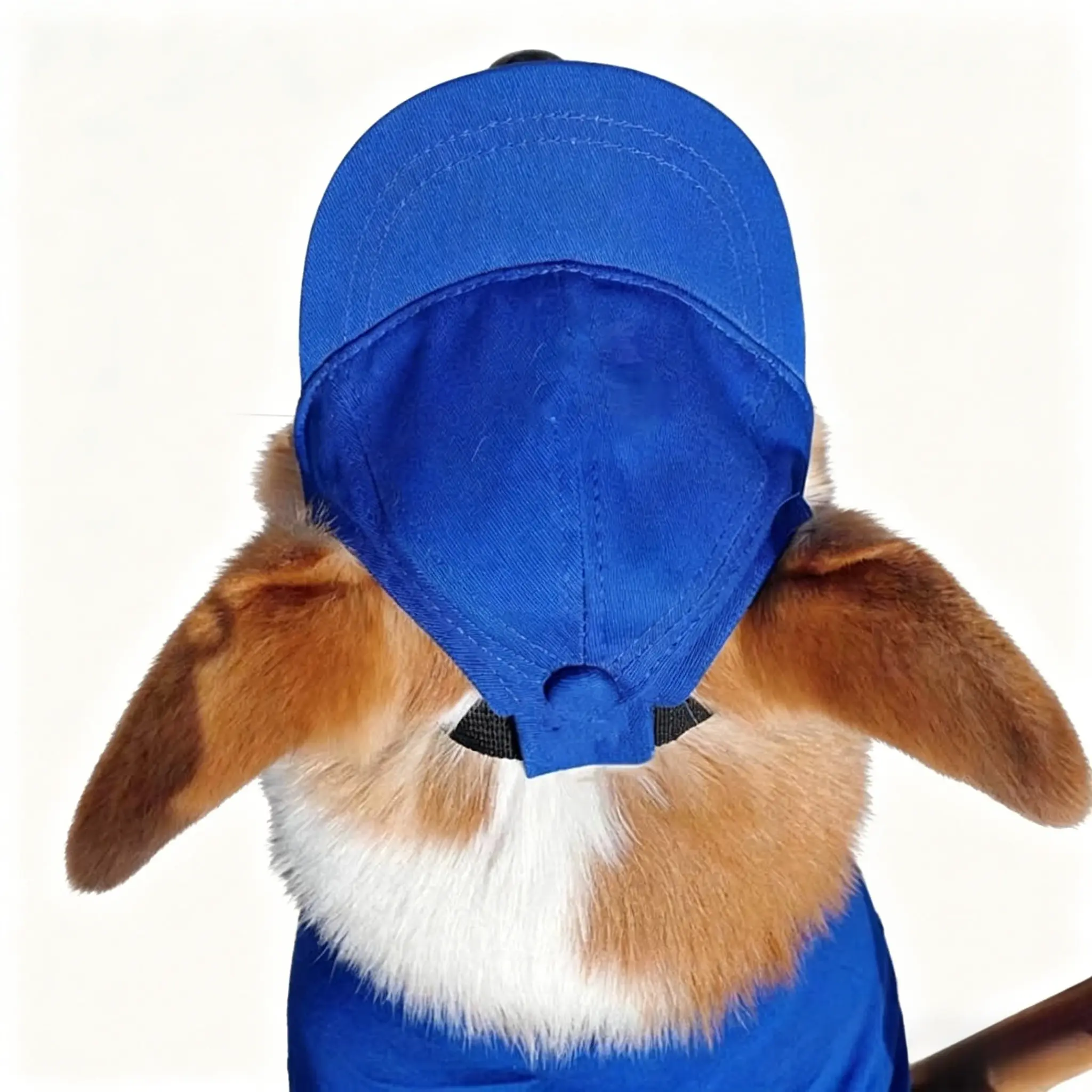 Pet Baseball Cap for Small Dogs & Cats - Adjustable Solid Color Cotton Outdoor UV Protection Hat with Ear Holes, All-Seasons Medium Size Pet Headwear