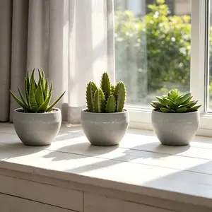 Set of 3 Artificial Succulent Plants, 6" Tall Fake Plants with Grey Cement Pots, Faux Succulents for Indoor Home Office Table Decor, Realistic Greenery Potted Plants for Shelf, Desk, Bathroom & Living RoomHome Essentialsbedroom decor