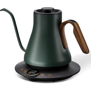 Gooseneck Electric Kettle, ±1°F Precise Temperature Control, 1500W Fast Heating, Pour Over Coffee & Tea Kettle with Brew Timer & Keep Warm, Stainless Steel, 0.9L Delacroix Green