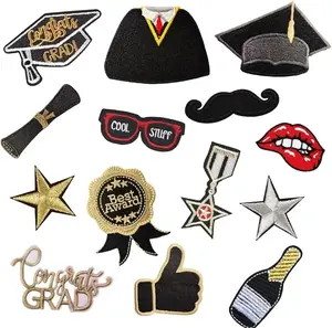 14 Pcs Graduation Patches Iron on Patches Varsity Patches Embroidered Cloth Patches Class of 2024 Iron on Patches DIY Crafts Decorative Gifts for Teacher Students Clothing Jacket Jeans Backpack Hat