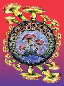 Custom Stickers Cool Mushroom Decals Trippy Sticker Cars Vinyl Gift 5"