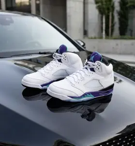 Nike Air Jordan 5 Retro Grape 2025 HQ7978-100 Mens Fashion Sneakers New