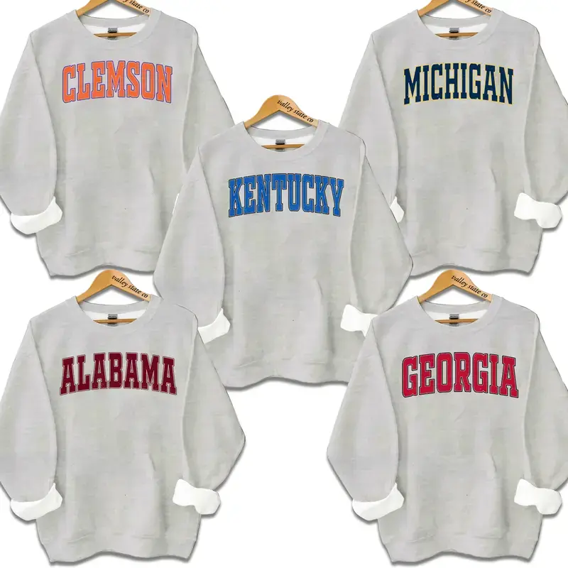 Distressed Varsity College Sweatshirt, Ash Grey Vintage Athletic Pullover, Classic Crewneck, University Style Apparel, Gift For College Sports Fans