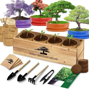 Bonsai Tree Kit, Bonsai Starter Kit with Seeds & Tools, Tree Live  Indoor, Gardening Gifts for Women Men Mom Father  Lover, Birthday Gifts for Women