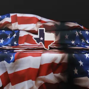 Texas State Patch