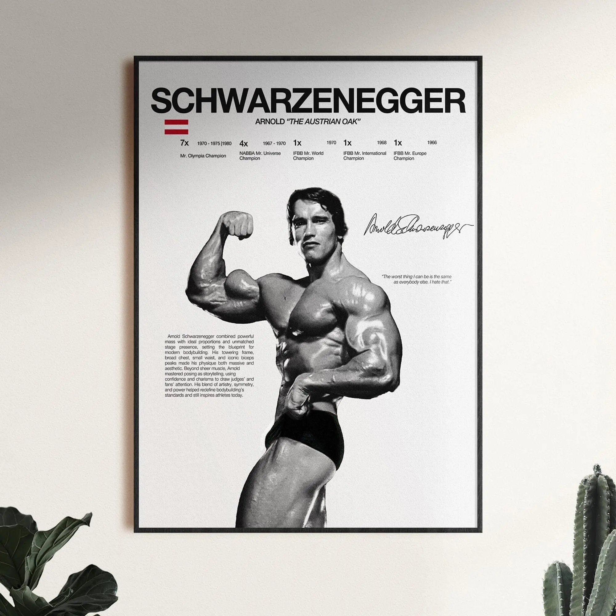 Arnold Schwarzenegger Poster, Bodybuilding Wall Print, Mr Olympia Poster, Gym Fitness Motivation Gift, Gym Art ( Unframed - Print Only )