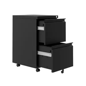 File Cabinet 2-Drawer Lateral with Lock, 2 Drawer Filing Cabinets with Lock for Home Office, Mobile Under Desk Storage Drawers on Wheels, Small File Cabinet for A4 Suspension Files Letter Legal Size 37x44x65cm