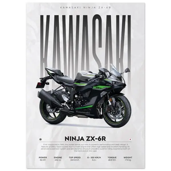 2008 kawasaki zzr 600 - TikTok Shop