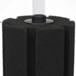 Large Seeded Sponge Filter
