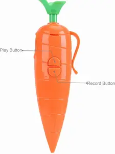 Creative Carrot Pen Voice Recorder, Stylish Carrot Shaped Recording Writing Pen, Portable Mini Voice Recording Device, Practical Dual Function Recorder Pen, Delicate Exquisite Office Stationery, Ideal Creative Present For Teens, Teachers And Colleagues