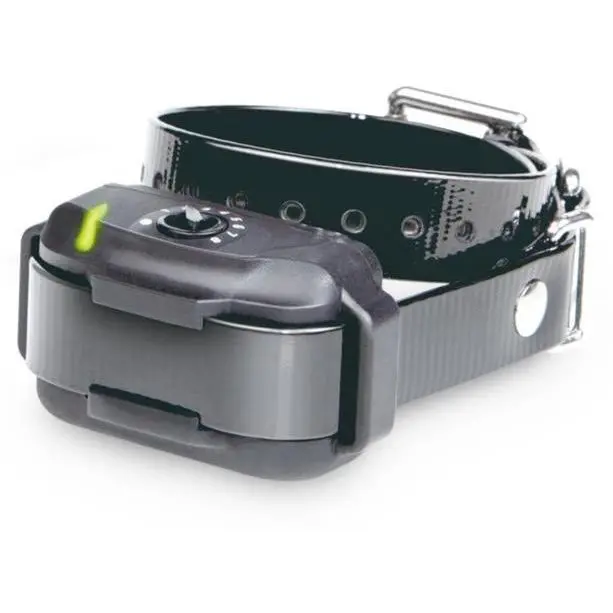 Dogtra - E-Fence 3500 Rx - Additional Collar