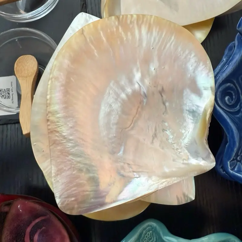 Shell tray. Irradescent. Mother of pearl dish. Shell tray. Irradescent. Mother of pearl dish.