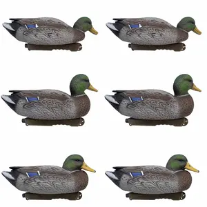 Final Approach Live Early Season Mallard Duck Decoys, 6 Pack