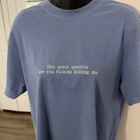 “Hey Quick Question” Comfort Colors T-shirt Embroidered