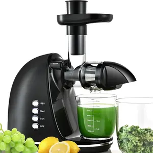 Slow Masticating Juicer, Cold Press Juicers with 2 Speed Modes & Quiet ,Juicers Machines Vegetable and Fruit with Reverse Function,Celery Juicer,,Easy to Clean (Black)